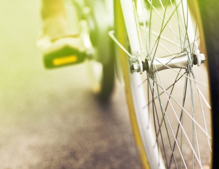 Прокат - Пансионат «Ривьера»